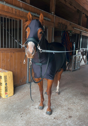 Beautiful Tail Slinky II Elite
