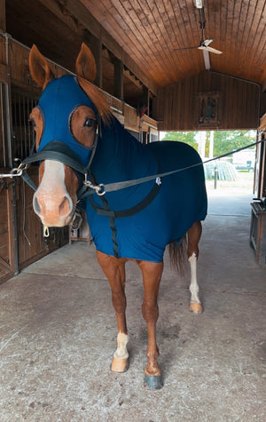 Beautiful Tail Slinky II Elite