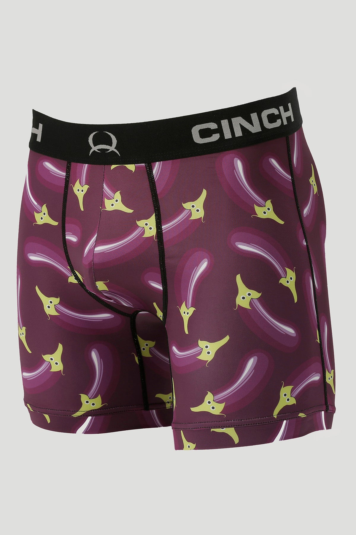 CINCH Men's 6" Purple Eggplant Boxer Brief